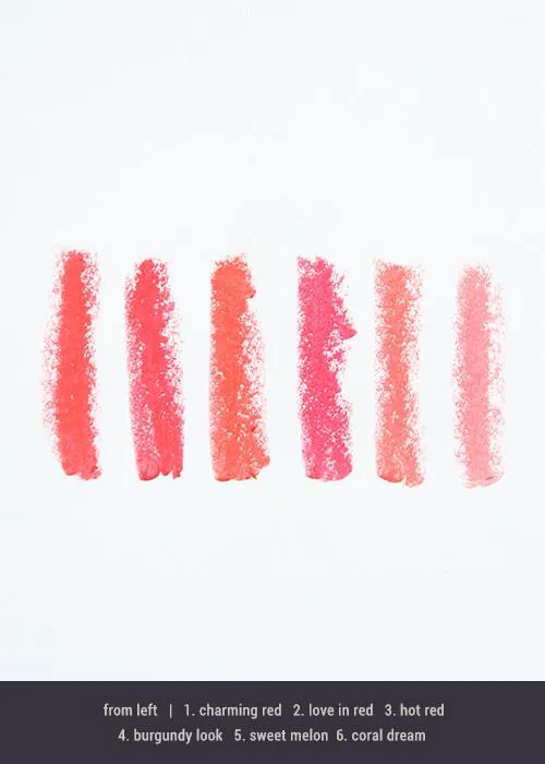 Amuse Wild Matte Lipstick