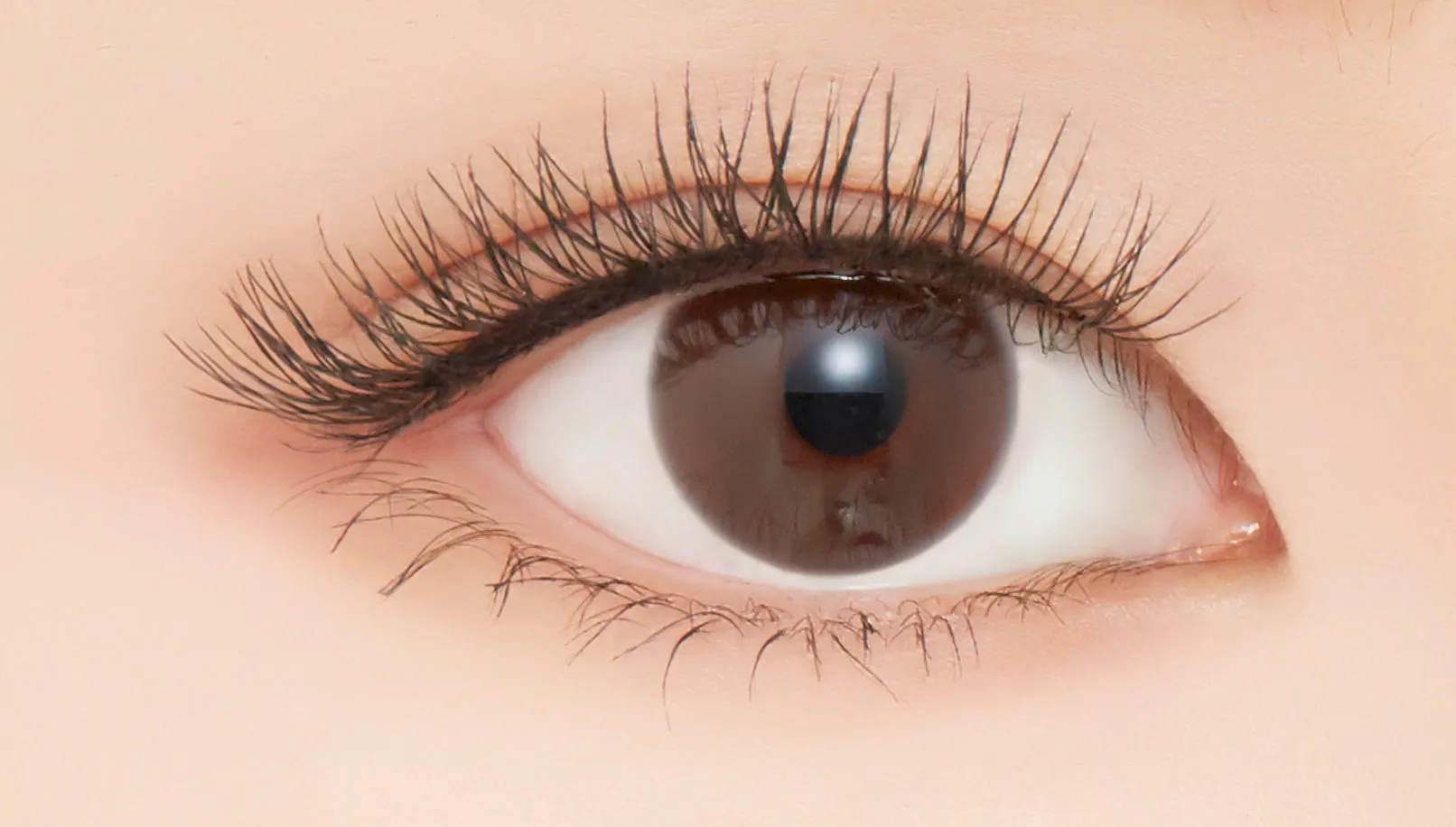 APIEU Born To Be Madproof Lengthening & Curling Mascara Lv.2 No.01