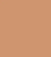 F03 - PINKFLASH Lasting Matte Foundation