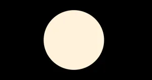 N2 COOL NEUTRAL FLAWLESS FINISH FOUNDATION