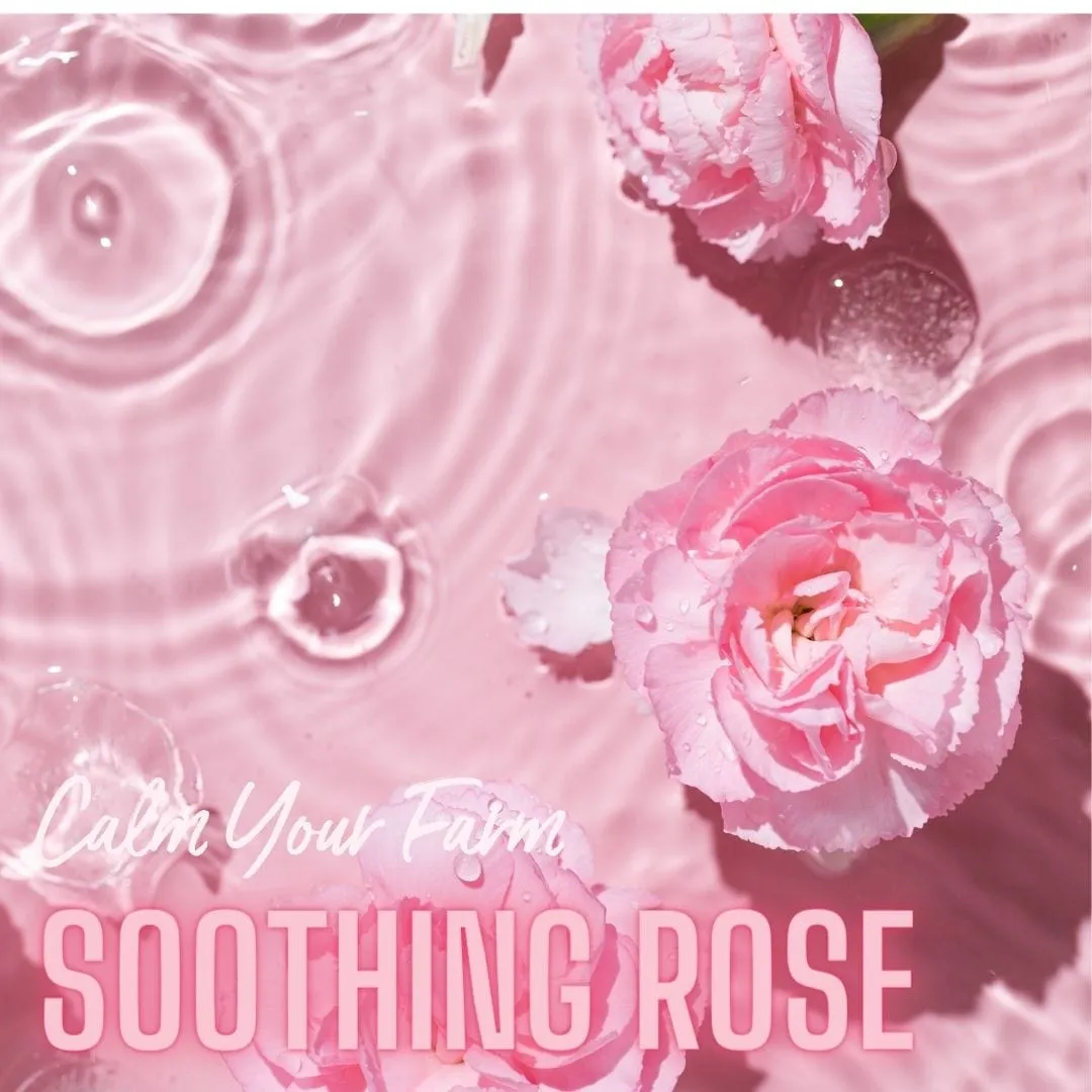 NEW Pure Rose Healing Mask Mini