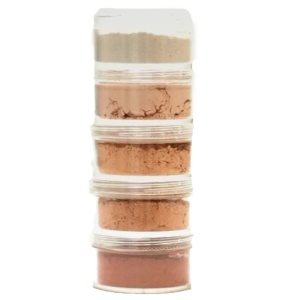 Professional Loose Powder Kit