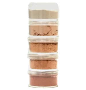 Professional Loose Powder Kit