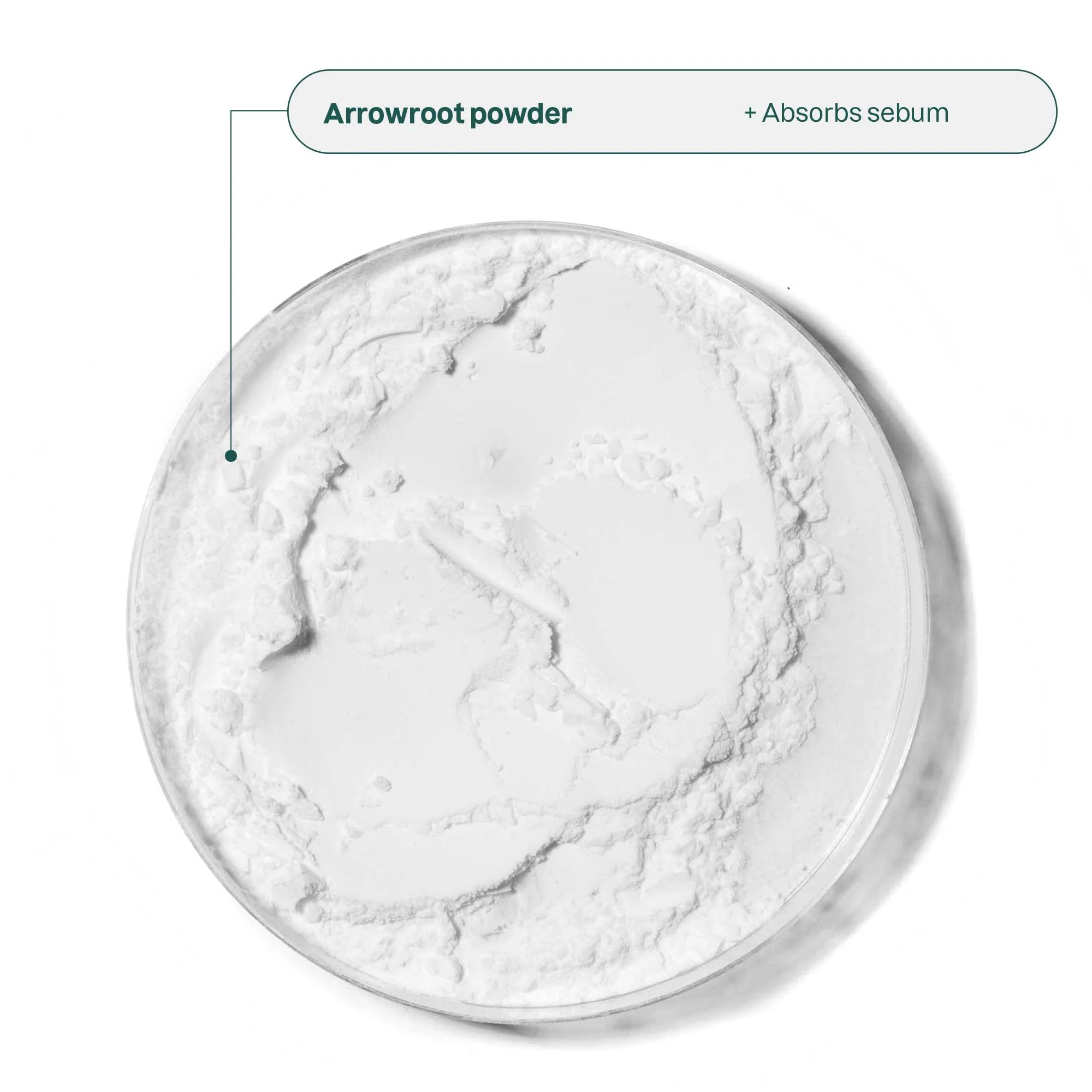 Solid Mattifying Face Cream for Combination Skin: Oceanly - Phyto-Matte